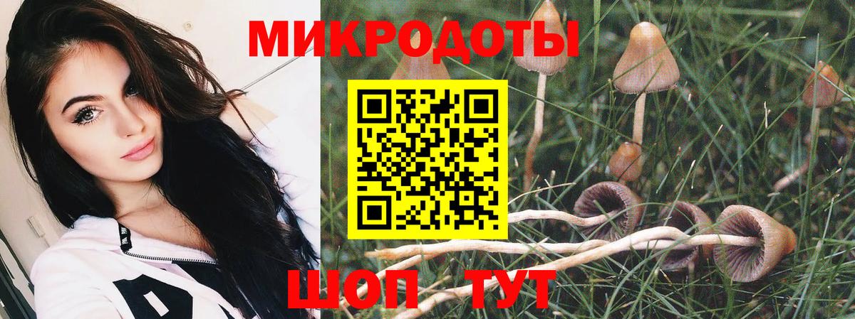 Галлюциногенные грибы Magic Shrooms  Псилоцибиновые грибы Cubensis  Вход с VPN  Махачкала 