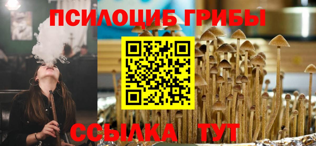 Галлюциногенные грибы мицелий Махачкала